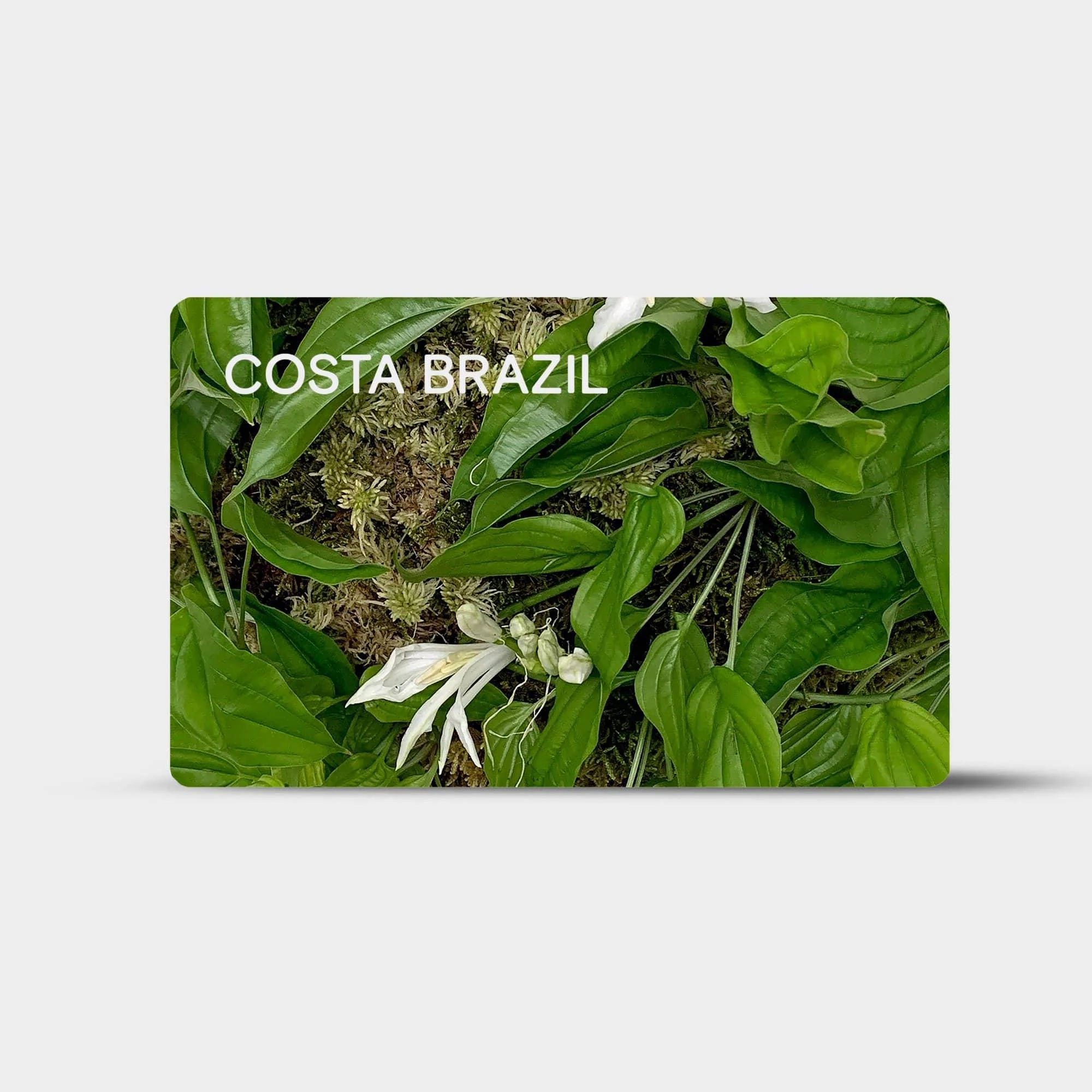 GIFT CARD - Image 3